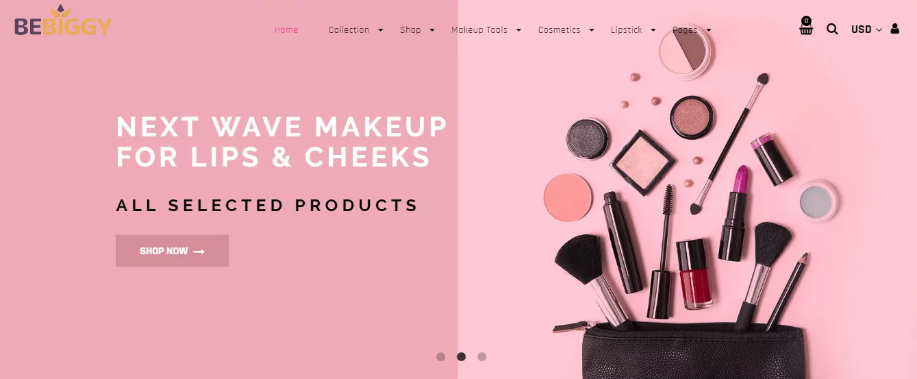 Beauty Niche Custom Premium Store 2
