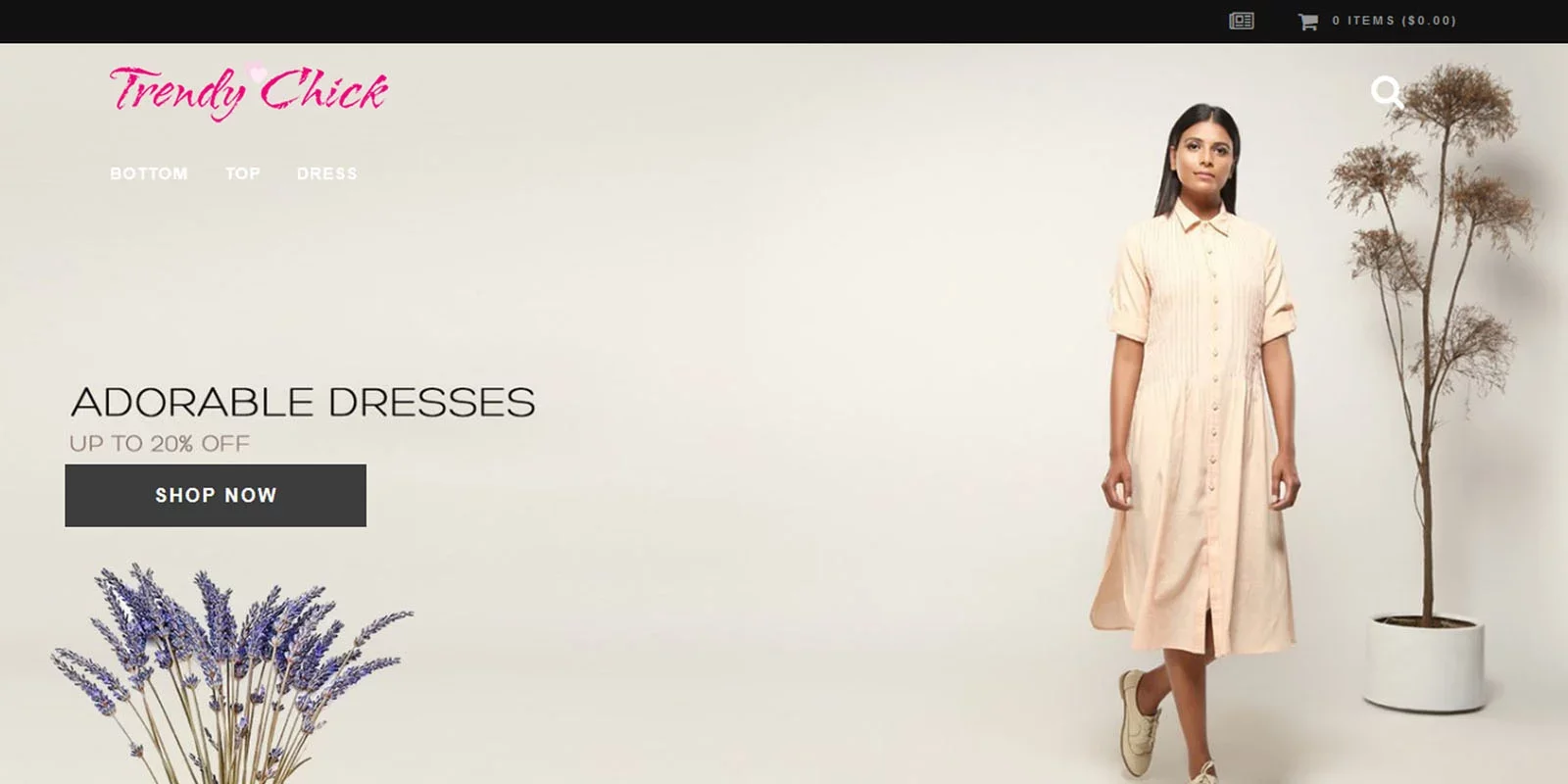 trendy_chick_banner