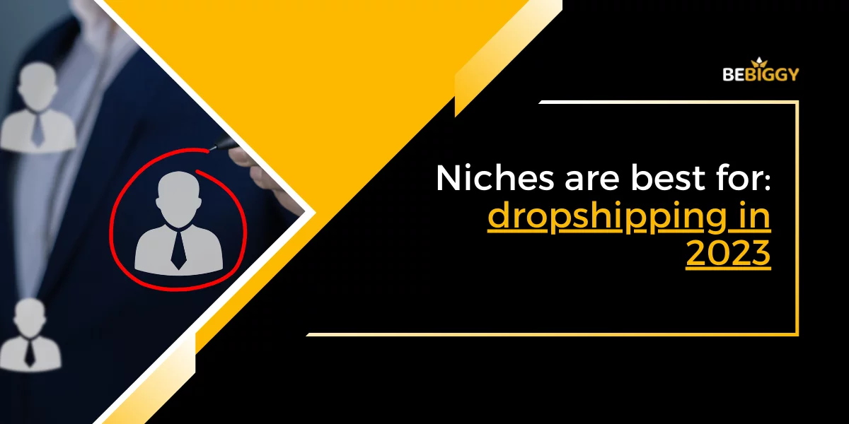 Niches are best for dropshipping in 2023