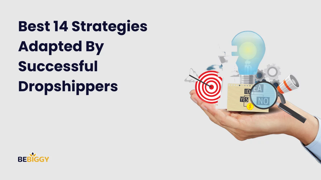 Best 14 Strategies Adapted By Successful Dropshippers