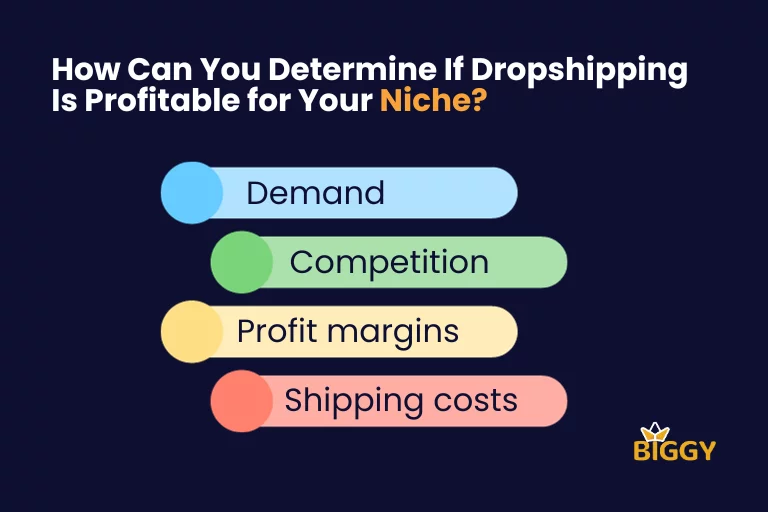 How Can You Determine If Dropshipping Is Profitable for Your Niche?