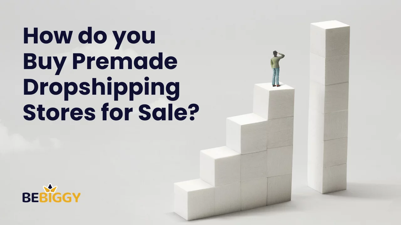 How do you buy premade dropshipping stores for sale?