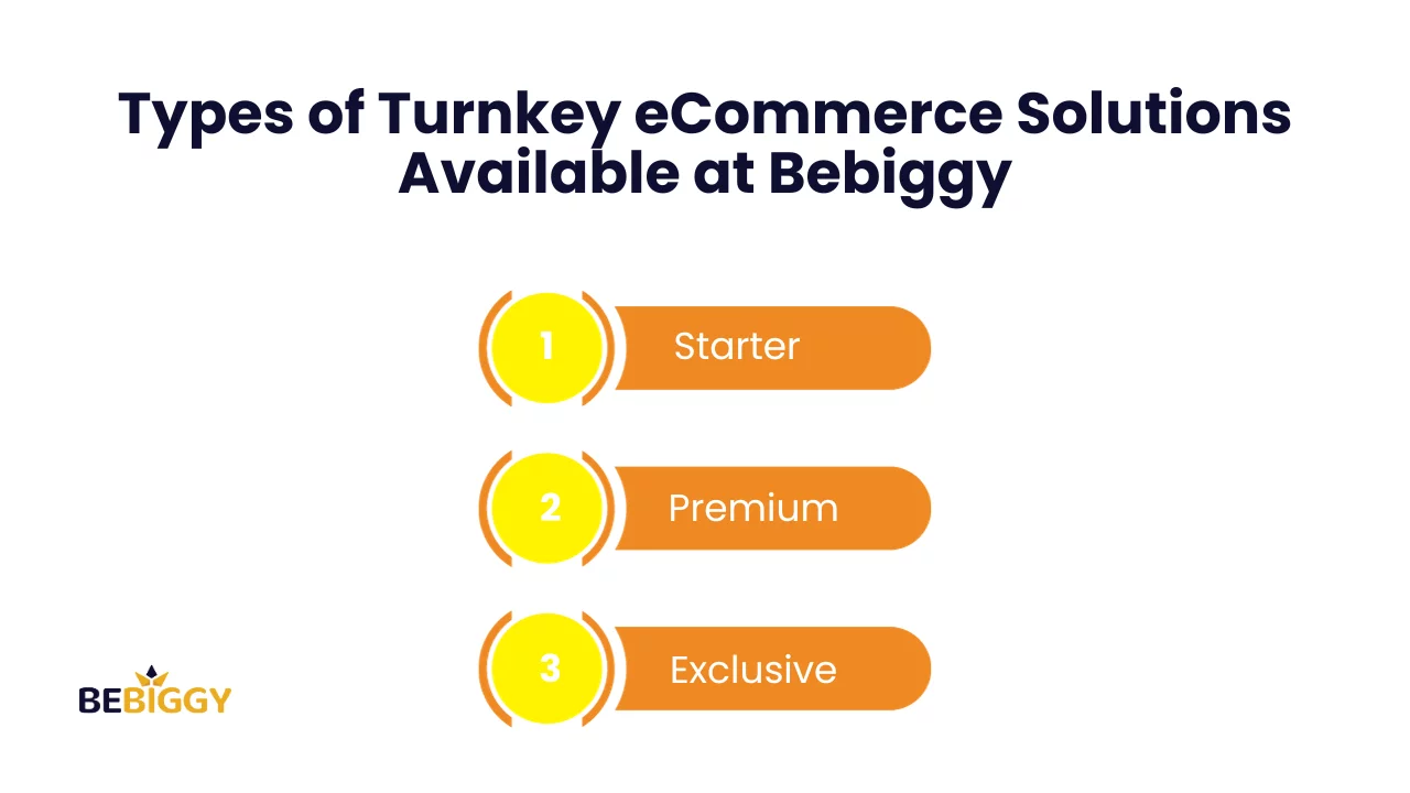Types of Turnkey eCommerce Solutions Available at Bebiggy