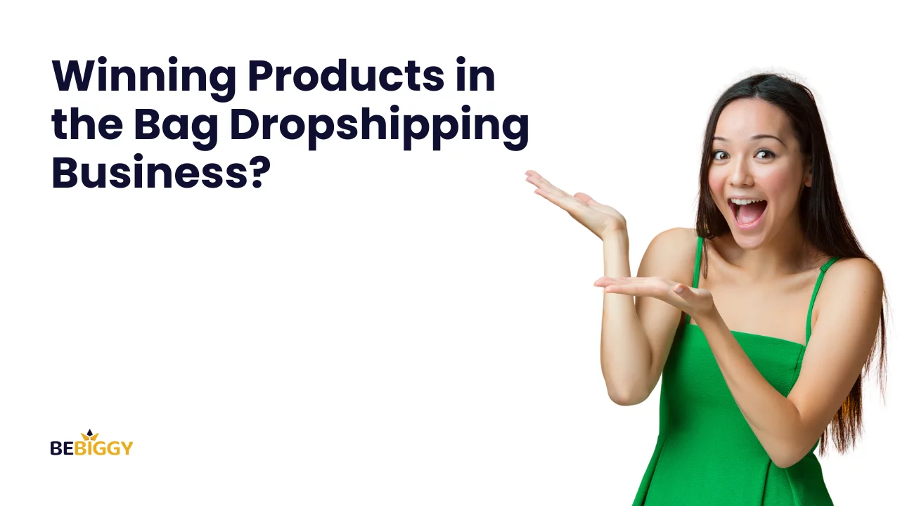What are some winning products in the Bag dropshipping business?