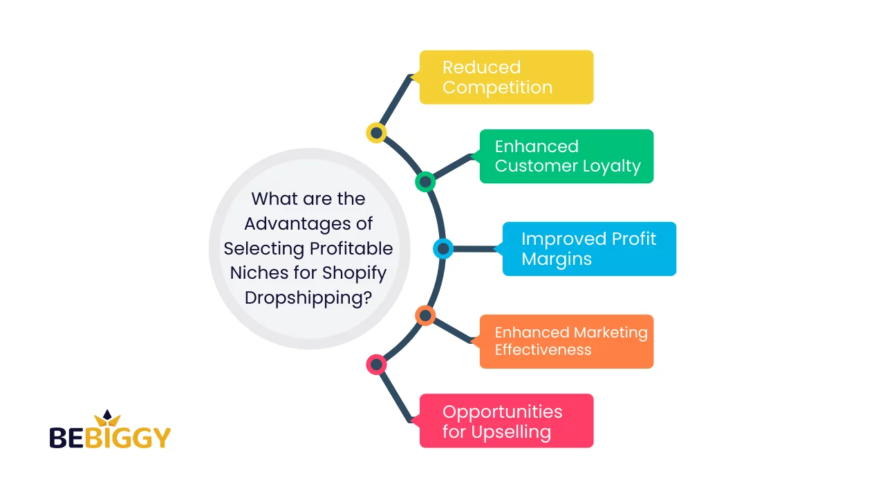 What are the Advantages of Selecting Profitable Niches for Shopify Dropshipping?