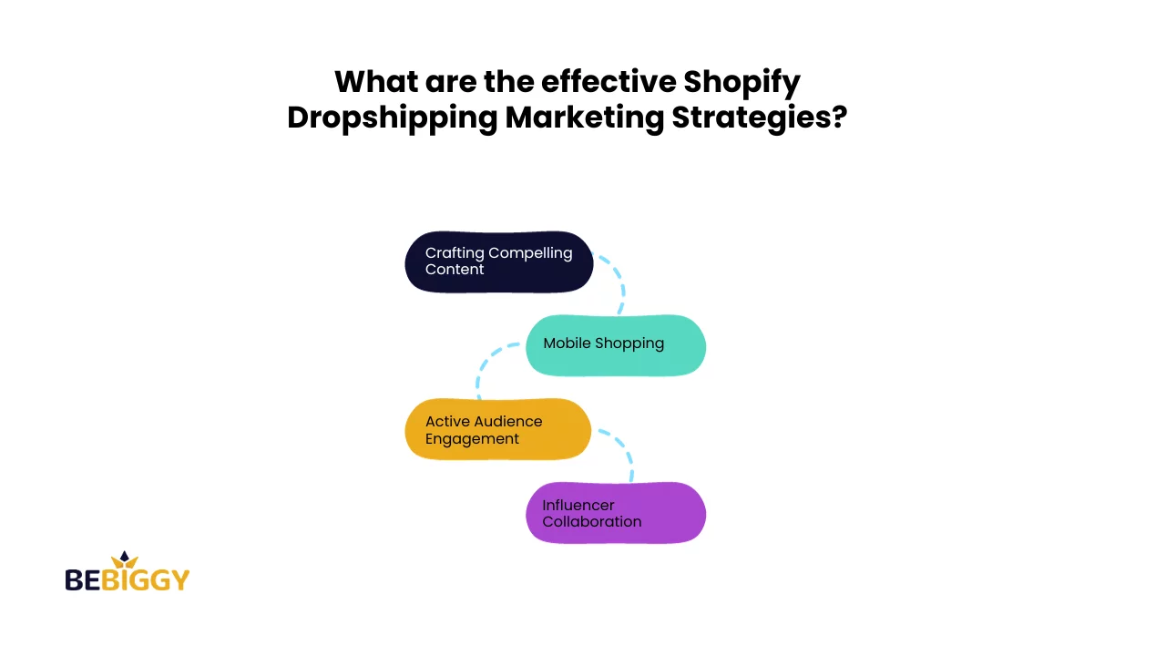 What are the effective Shopify Dropshipping Marketing Strategies?