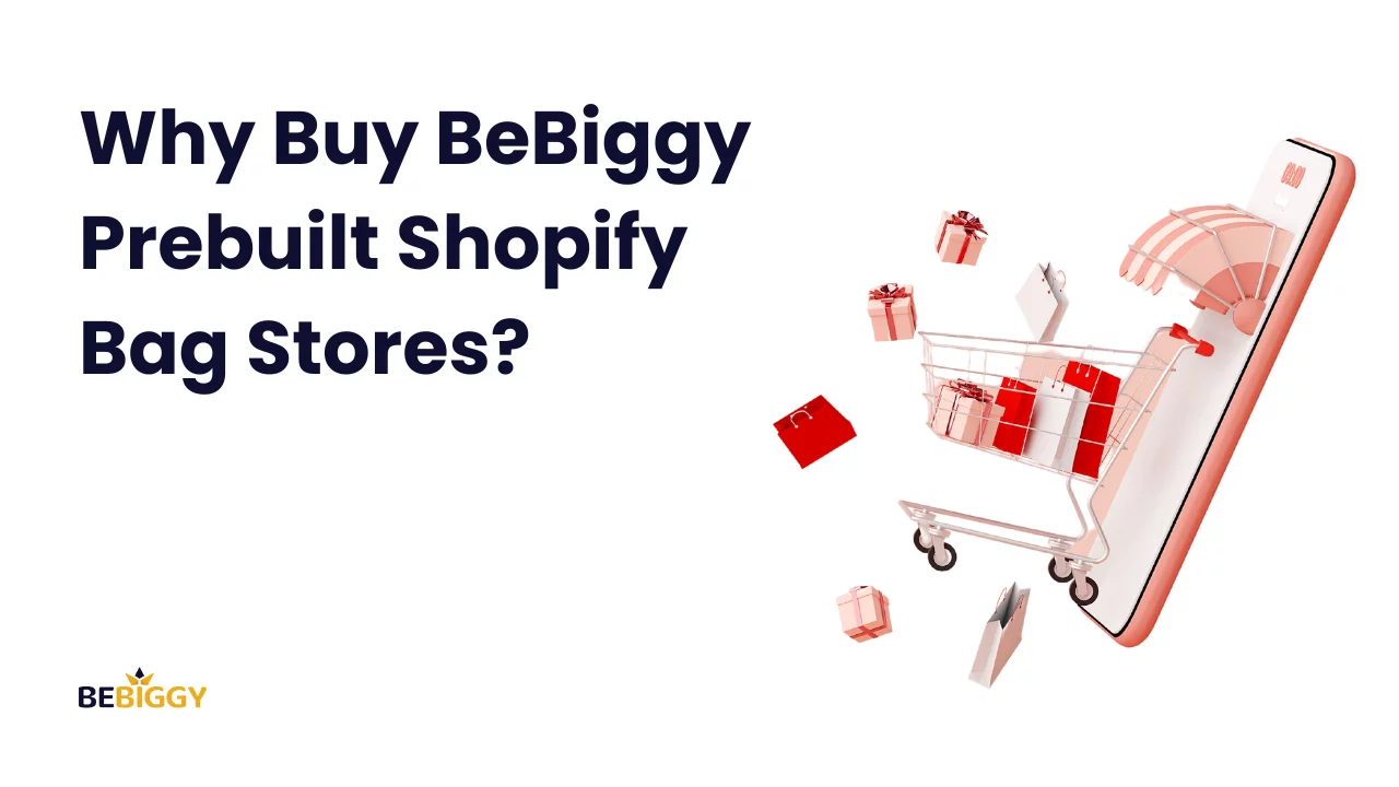 Why Buy BeBiggy Prebuilt Shopify Bag Stores?