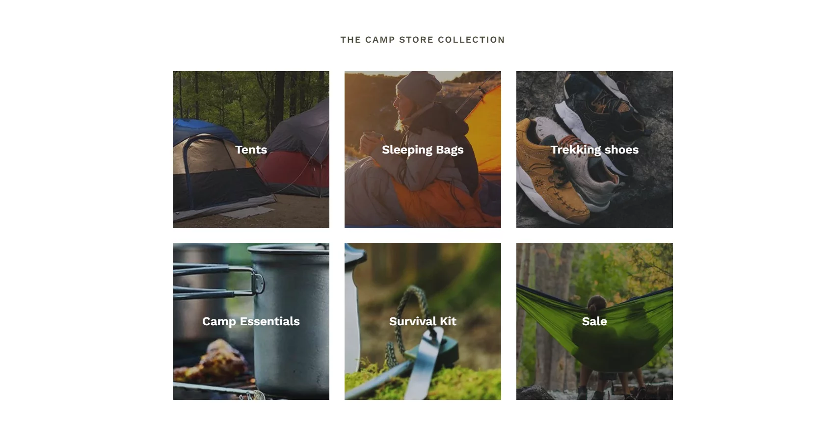 Why Buy BeBiggy Prebuilt Shopify Camping Gear Stores?