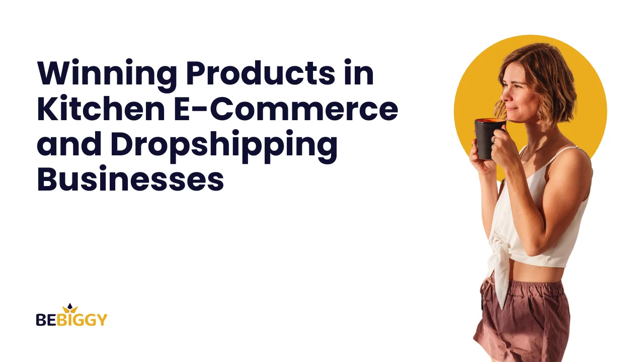 Winning Products in Kitchen E-Commerce and Dropshipping Businesses