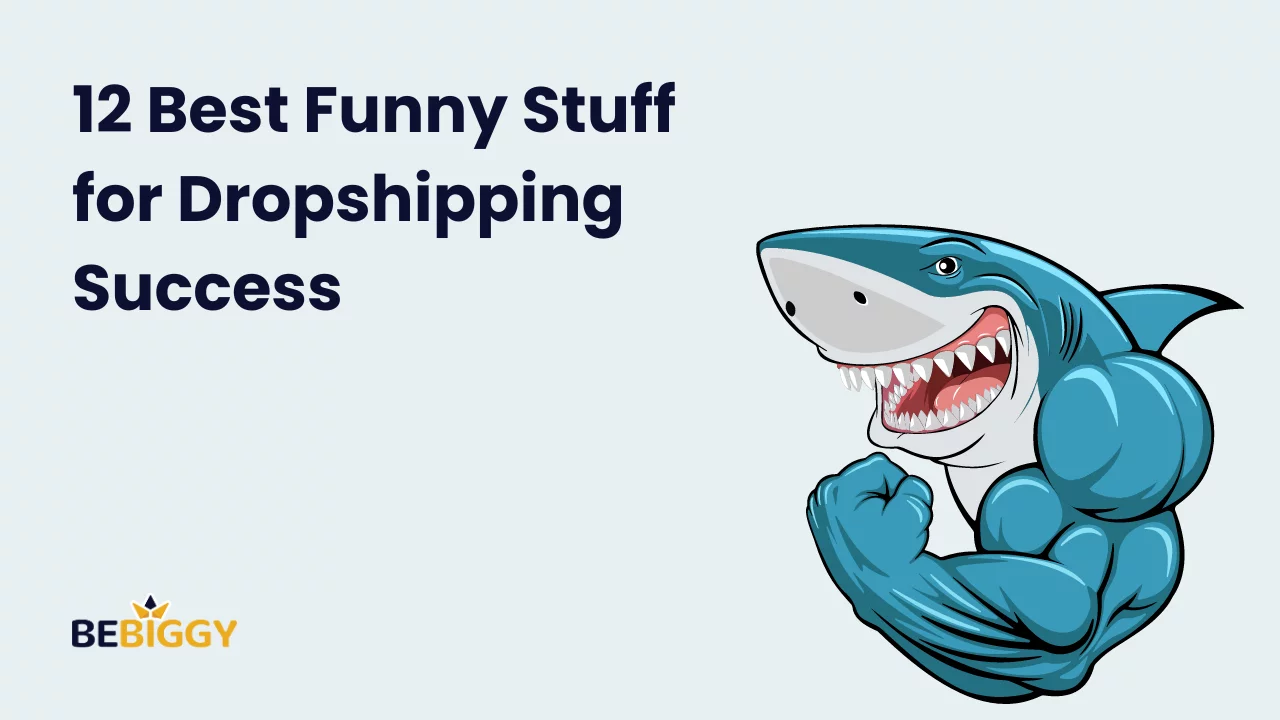 12 Best Funny Stuff for Dropshipping Success