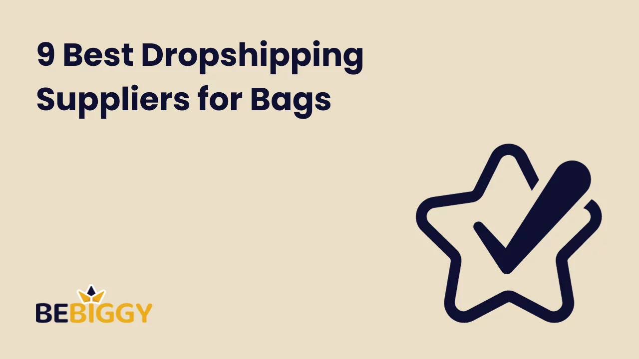 9 Best Dropshipping Suppliers for Bags