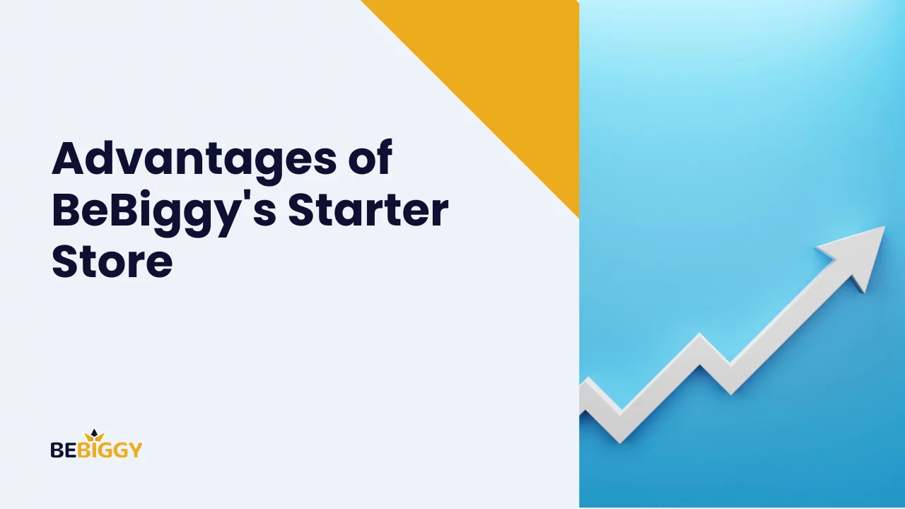 Advantages of BeBiggy's Starter Store: