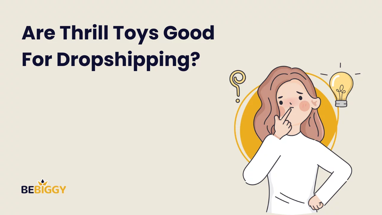 Are Thrill Toys Good For Dropshipping?