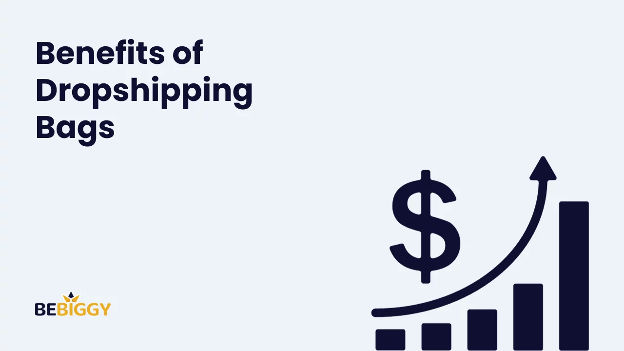 Benefits of Dropshipping Bags