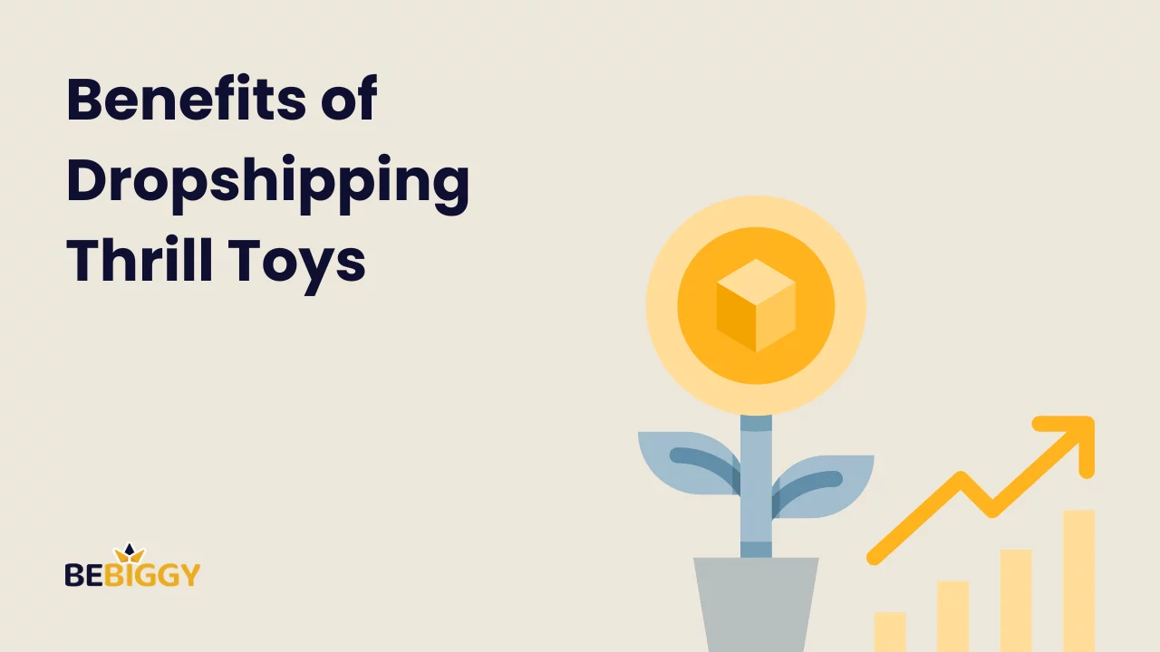 Benefits of Dropshipping Thrill Toys