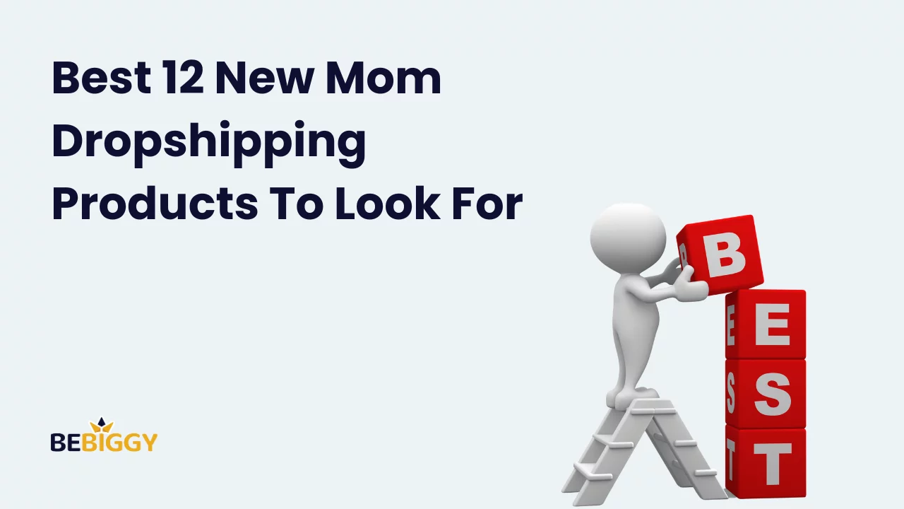 Best 12 New Mom Dropshipping Products To Look For