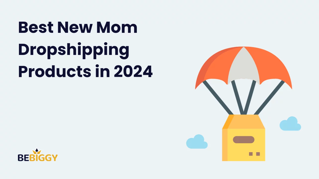 Best New Mom Dropshipping Products in 2024