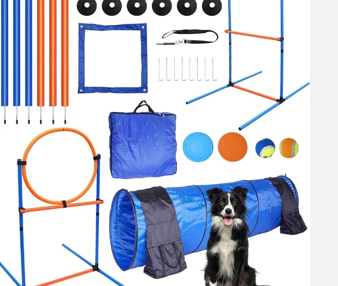 Best Pet Dropshipping Products 11: Convenient and Reliable Pet Training Tools