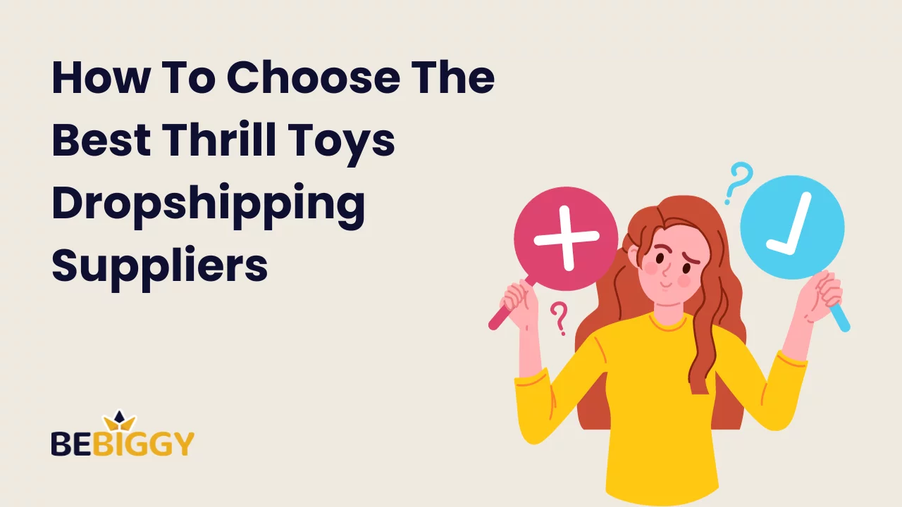 How To Choose The Best Thrill Toys Dropshipping Suppliers