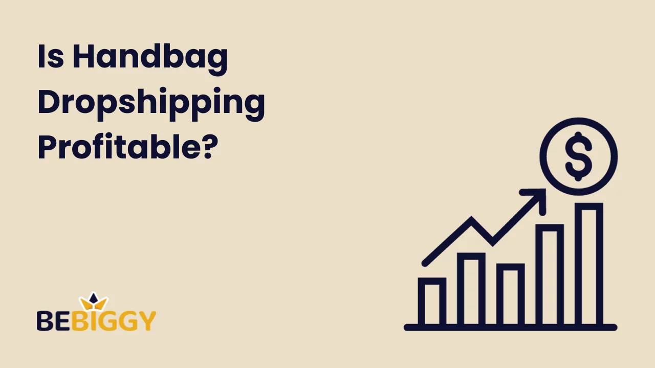 Is Handbag Dropshipping Profitable?