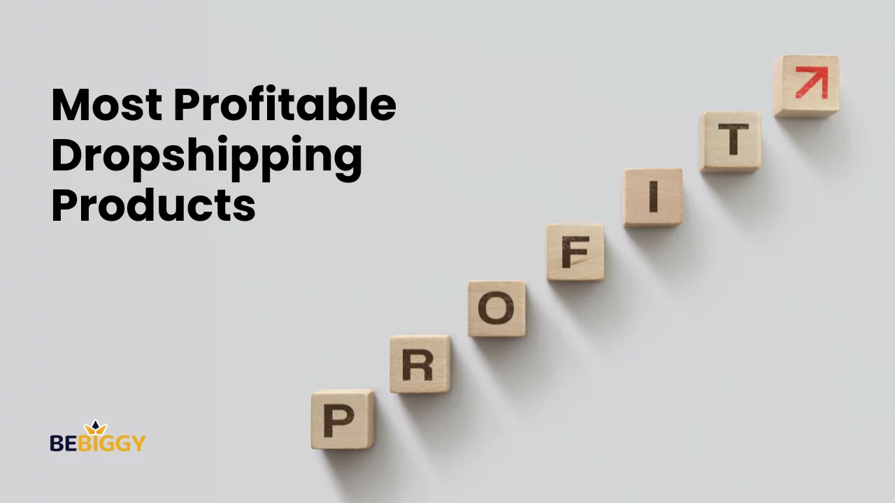 Most Profitable Dropshipping Products