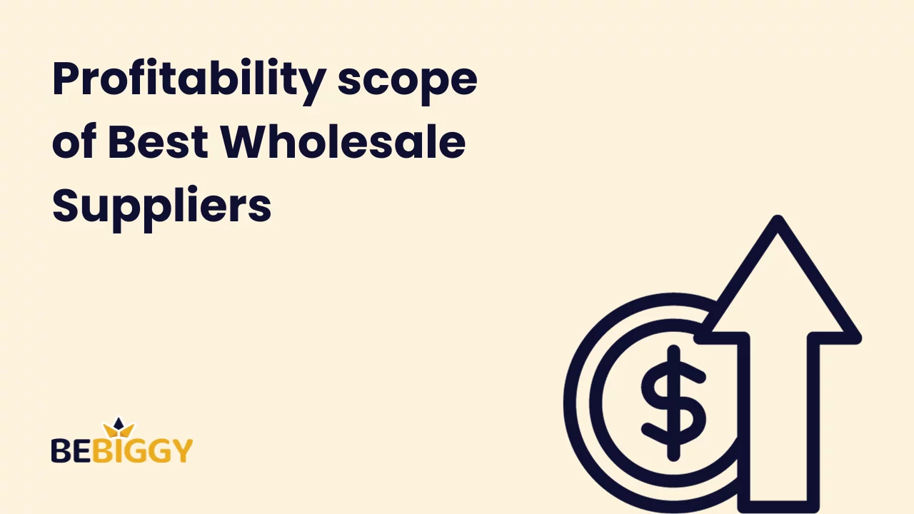Profitability scope of Best Wholesale Suppliers