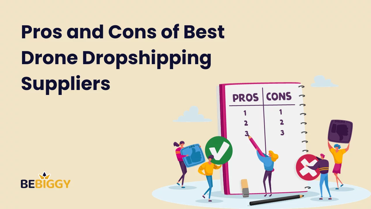 Pros and Cons of Best Drone Dropshipping Suppliers