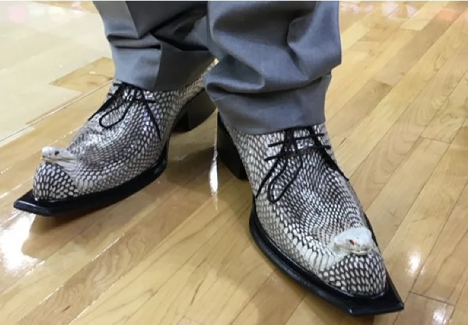 Best Shoes for Dropshipping 7: Snakeskin Shoes