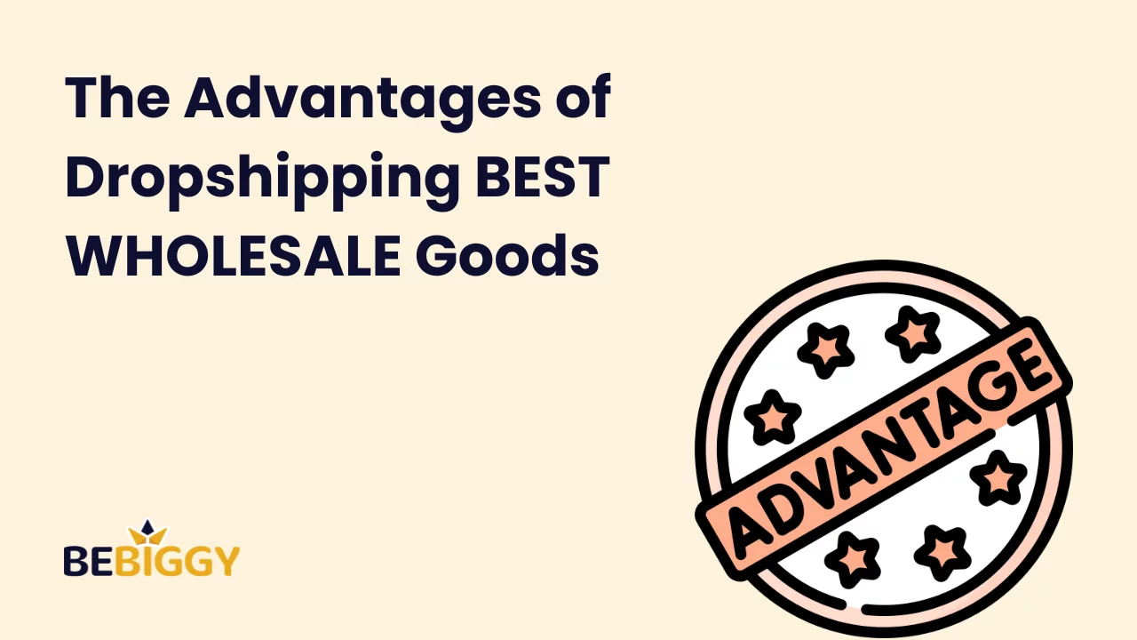 The Advantages of Dropshipping BEST WHOLESALE Goods