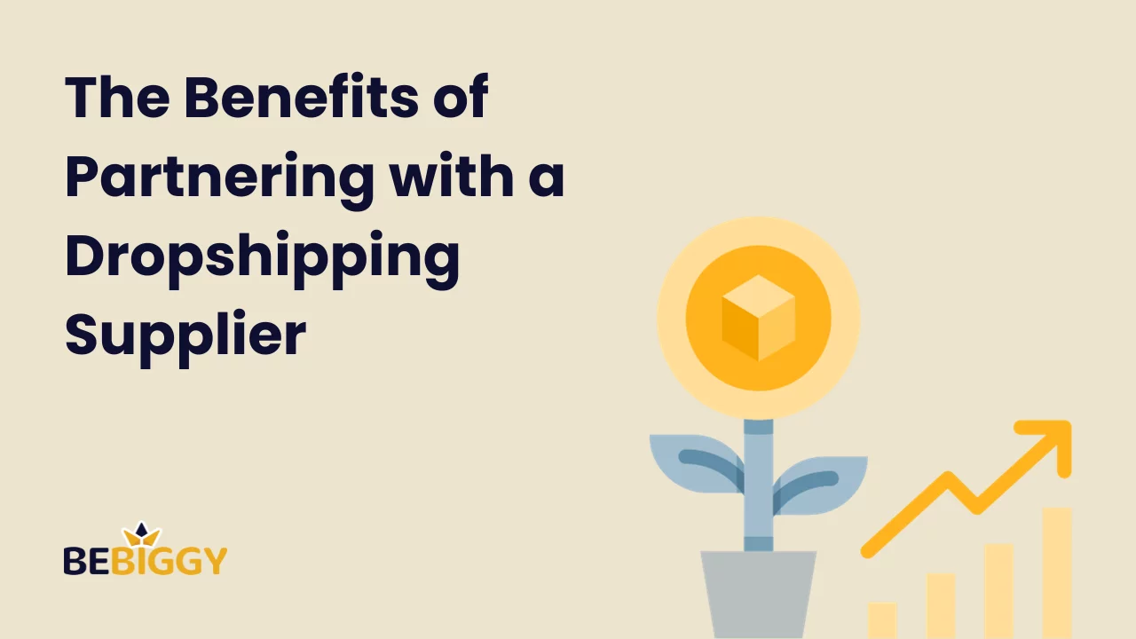 The benefits of partnering with a dropshipping supplier