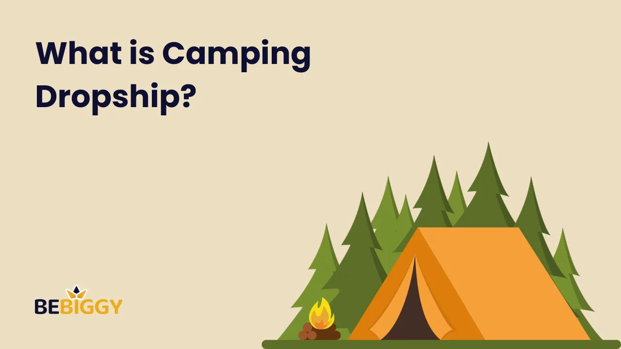 What is Camping Dropship?