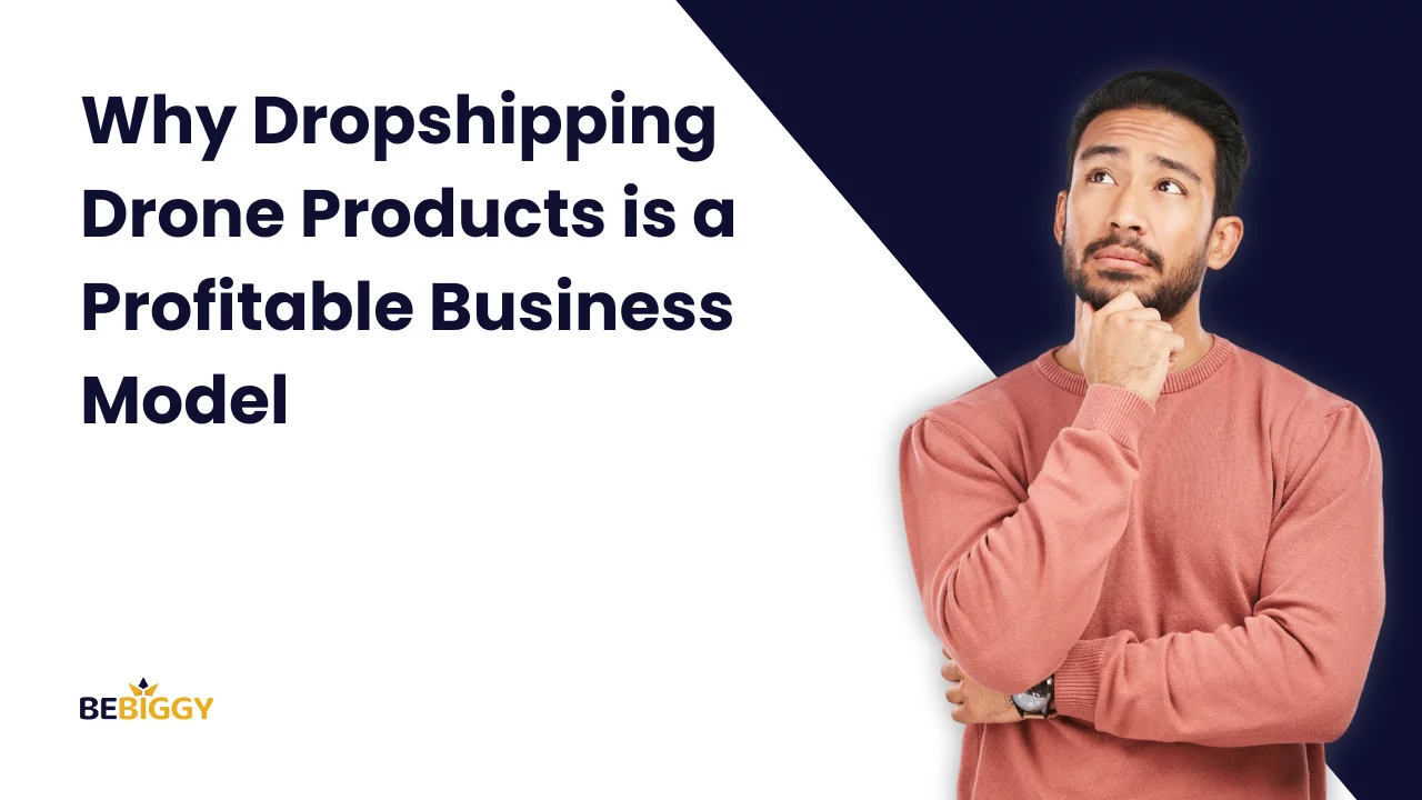 Why Dropshipping Drone Products is a Profitable Business Model?