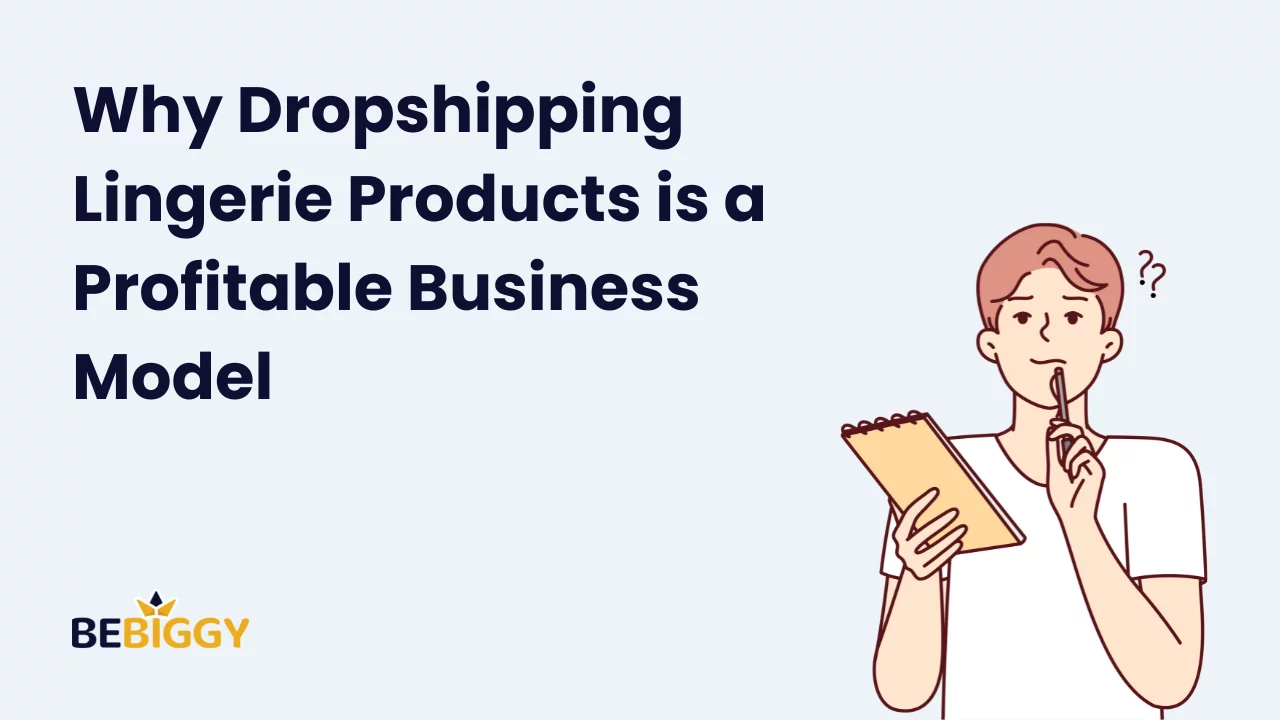 Why Dropshipping Lingerie Products is a Profitable Business?