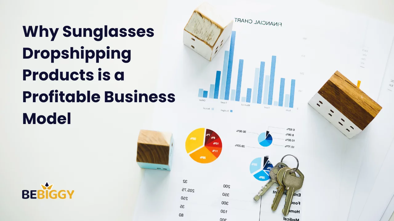 Why Sunglasses Dropshipping Products is a Profitable Business Model