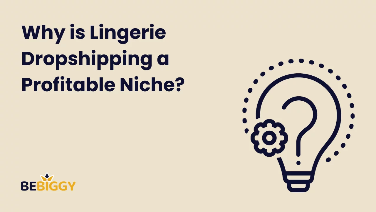 Why is lingerie dropshipping a profitable niche?